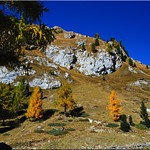 Herbst in den Dolomiten am Passo Fedaia