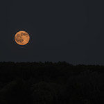 June Solstice Full Moon (Strawberry Moon)