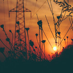 Electrical sunset (l)