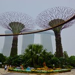 Supertree grove in the Gardens by the Bay with OCBC skywalk and the Marina Bay Sands hotel in Singapore