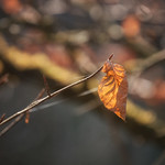 Still hanging there...