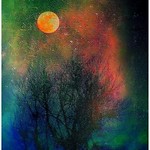 Inqui&eacute;tude ..........