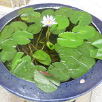 Emerald Buddha temple