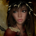 ++ The Butterflies ++