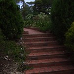 Steps