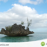 Mauritius - Ilot Benitier - 003