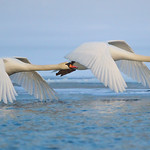 Baby It's Cold Outside!