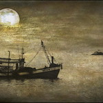 Moonlight Fishing