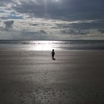 Un enfant attir&eacute; par la mer