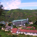 Mackwoods Labookellie Tea Centre