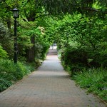 green_path