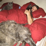 Menage(rie) a Quatre