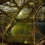 B&aring;stn&auml;s car graveyard (Se)