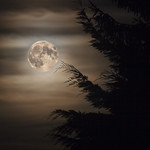 Super Moon - (Explore)