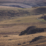 Little house on the prairie