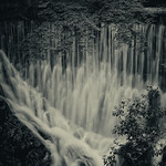 A thousend times, i fall