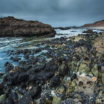 The Rolling Tempest - Pescadero State Beach
