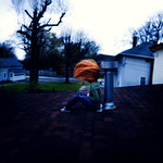 Above the rafters, below the sky