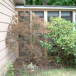 Father's Day 2012 46