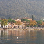 Lakeside reflections