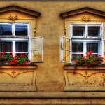 window boxes
