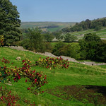 The rolling hills of Kettlewell