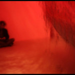 THE MAN AND HIS RED . THE RED AND ITS MAN