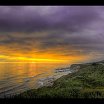 the occidental tourist