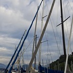 Laveno's harbour in the morning