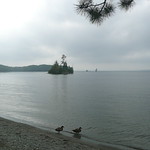 Ducks, Moosehead Lake, Maine