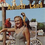 Animal Land - Lake George, New York