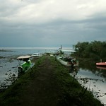kenya // lake nakuru