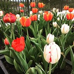 Another Instagram... | 022x