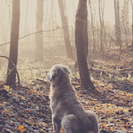 48/52 just sit and watch the rising sun 273/365