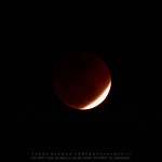Lunar eclipse...1 December, 2011