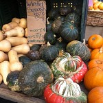 Winter squash