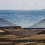 Hammock