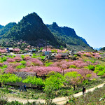 Untitled_Panorama-Springtime