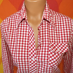 sears gingham 2