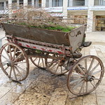 Wagon