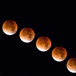 Bloody moon