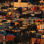 The Newfoundland Painted Ladies
