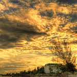 DSC_2217_8_9_ t copy.jpg