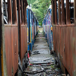 tram cemetery Leutzsch.jpg