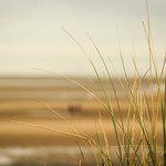 Look for beauty in the everyday