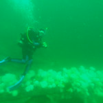 Sara over the KVI Tower reef