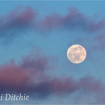 Full Moon And Pink Clouds