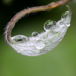 reflecting raindrops