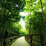 The way to the end...