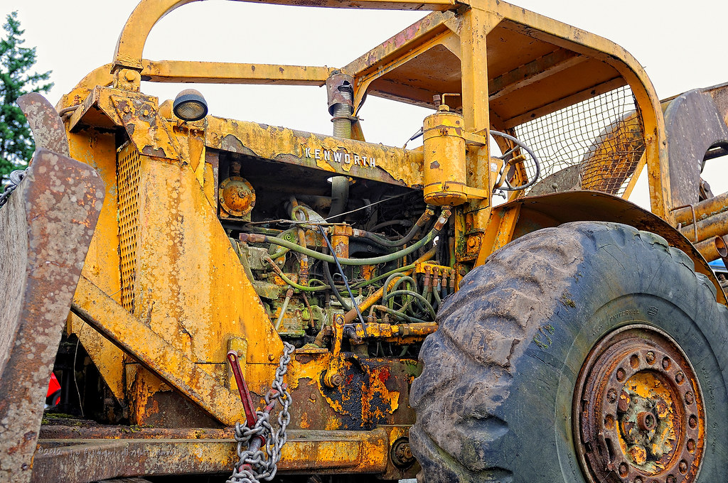 Unrestored Original The Stentorian Image